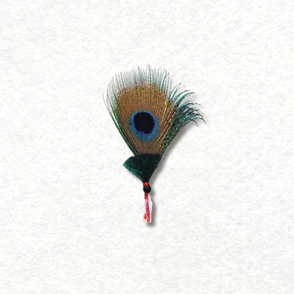 Morphank/Kali, combo of 3 Morphank. Assorted Colour