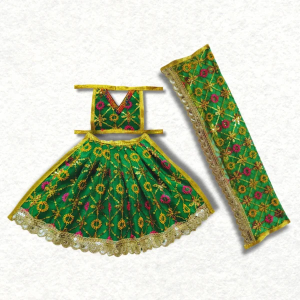 Mata Rani single dress made of net cloth in a green colour.
